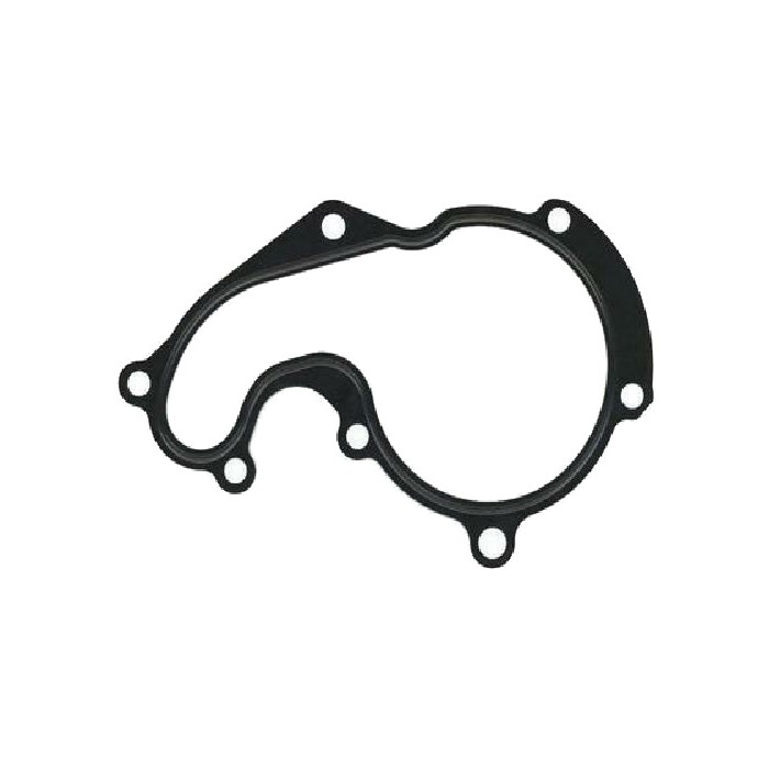 Joint d'étanchéité Pompe à Eau Pour Ford Fiesta IV Focus C-Max Galaxy II 1113213