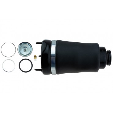 Amortisseur Pneumatique Avant Pour Mercedes Classe Gl M A1643204313 A1643204513