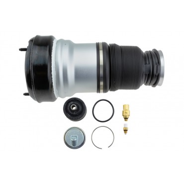 Amortisseur Pneumatique Avant Pour Mercedes Classe S 2203202438 2203205113