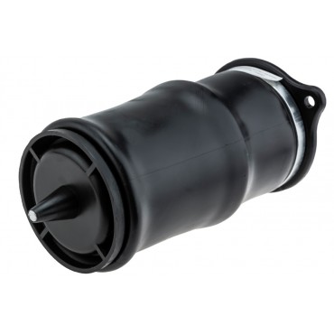 Amortisseur Pneumatique Arrière Pour Mercedes Viano Vito Mixto 6393280101