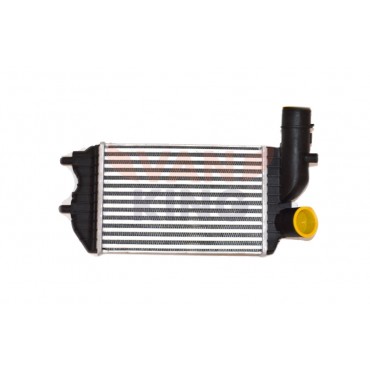 Intercooler échangeur de Chaleur Pour Citroën Jumper Fiat Ducato 1307012080