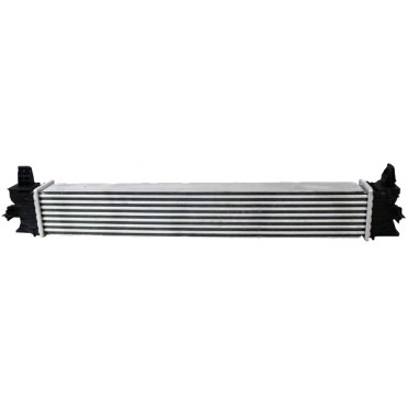 Intercooler échangeur de Chaleur Pour Citroën Jumper Peugeot Boxer 1613994180