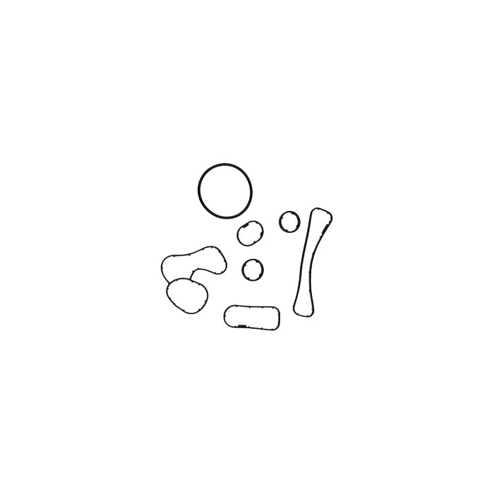 Kit Joint d'étanchéité Radiateur d'Huile Pour Renault Trafic Master 1513600Q0C