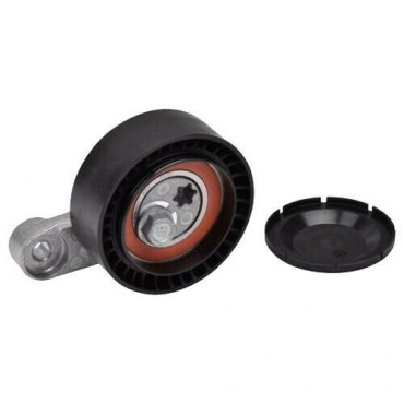 Galet Tendeur de courroie...