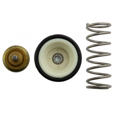 Thermostat d'Eau Liquide Refroidissement Pour Audi A1 Seat Ibiza IV 03C121110G