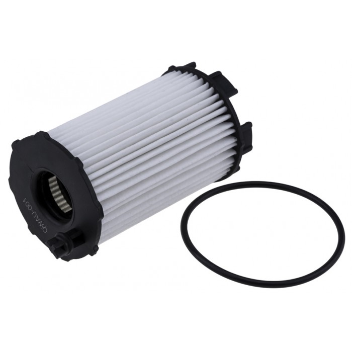 Filtre à Huile Pour Audi A4 A5 A6 A6 A8 Q7 Vw Touareg 079198405E