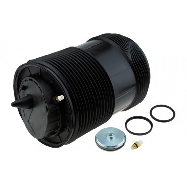 Ressort de Suspension Arrière Gauche Pour Audi Q7 Bentley Bentayga 4M0616001AA