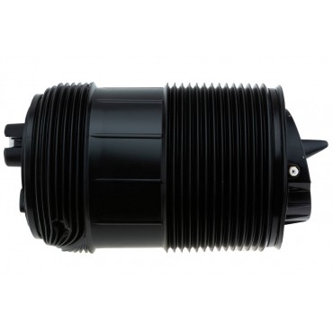 Ressort de Suspension Arrière Droit Pour Audi Q7 Bentley Bentayga 4M0616002AA