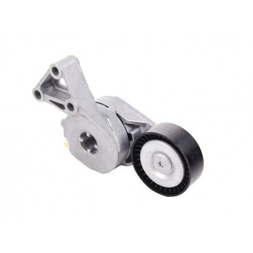 Galet Tendeur de courroie...