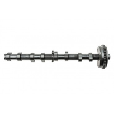 Arbre à Cames d'Admission Pour Audi A3 A4 A5 A6 C7 A8 Seat Toledo 06H109021