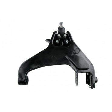 Bras de Suspension Avant Gauche Pour Hyundai Terracan 54502H1002