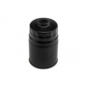 Filtre à Carburant Pour Hyundai Accent IV Elantra III IV V VI H-1 319222E900