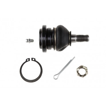 Rotule de Suspension Avant Supérieur Pour Lexus Gs Is I III Is 4861029055