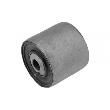 Silent Bloc de Bras de Suspension Avant Inférieur Pour Mercedes R A2513300743