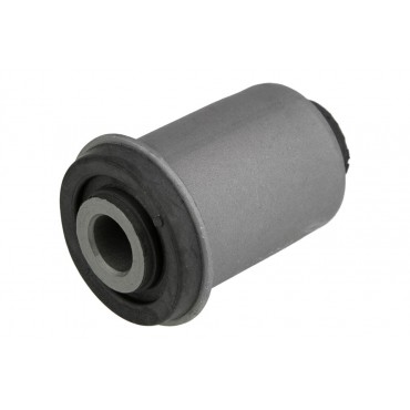 Silent Bloc de Bras de Suspension Avant Inférieur Pour Terios 54500AR000
