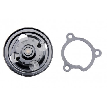 Pompe à Eau Pour Nissan Primera X-Trail I Renault Koleos I 21010F461A 210106N225