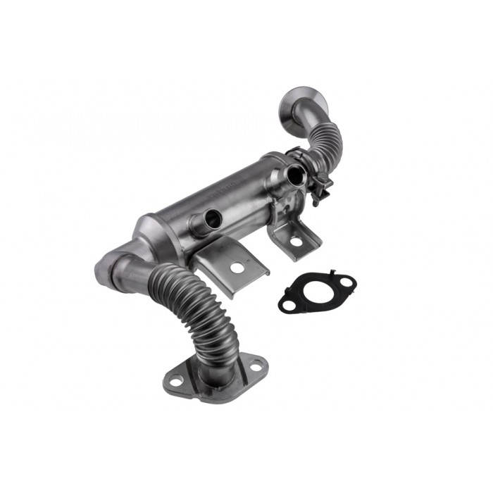 Refroidisseur de Vanne EGR Pour Ford Tourneo Connect Transit Connect 1700025