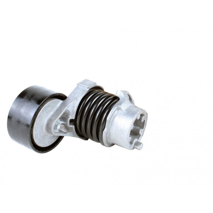 Tendeur Courroie d'Accessoire Pour Dacia Dokker Lodgy Renault Scénic 117506193R