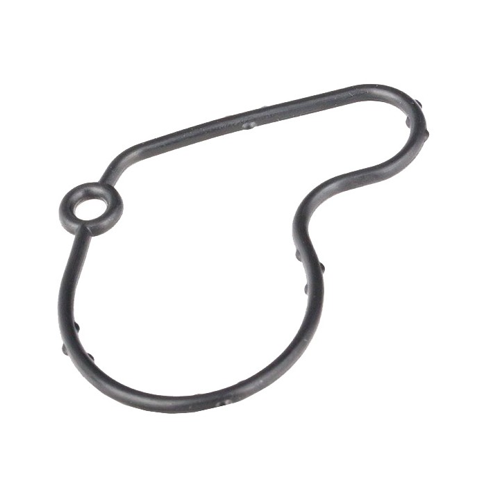 Joint de Pompe à Vide Pour Audi A3 Seat Toledo II Leon Inca Ibiza 38145345