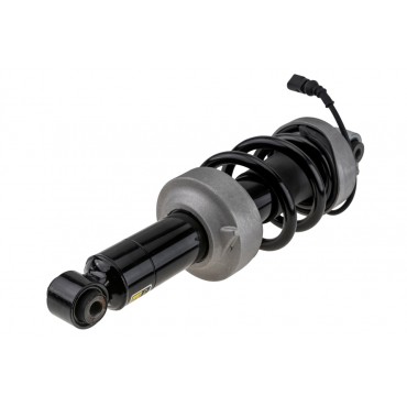 Amortisseur Avant Gauche Pour Audi R8 2007-2015 420412019AJ