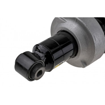 Amortisseur Arrière Gauche Pour Audi R8 2007-2015 420512019AM