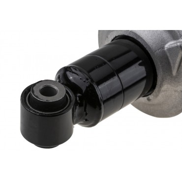 Amortisseur Arrière Droit Pour Audi R8 2007-2015 420512020AM