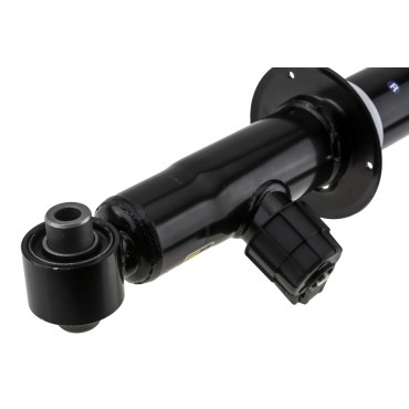 Amortisseur Arrière Droit Pour Bmw X5 37106869024 6869024 462400319207