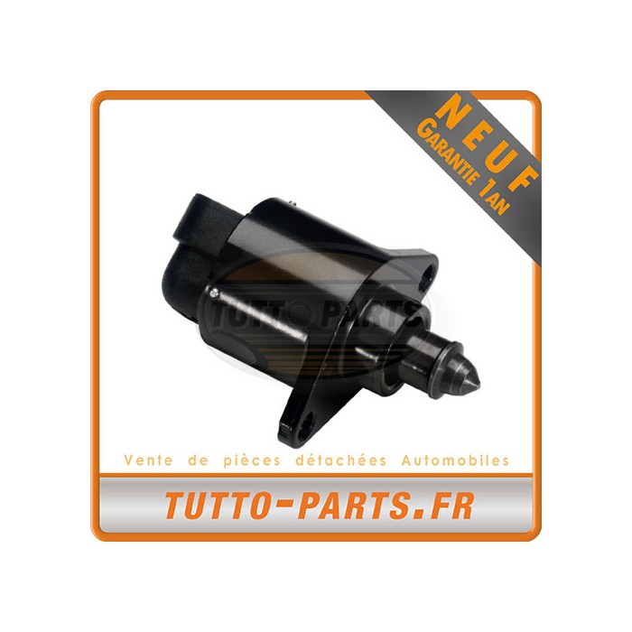 Regulateur Ralenti Peugeot 206