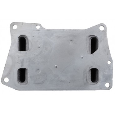 Radiateur d'Huile Moteur Pour Mercedes Classe E Gl M S Cls Gle Gls A2781880201