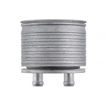 Radiateur d'Huile Moteur Pour Dacia Logan II Sandero Renault Wind Twingo 823023