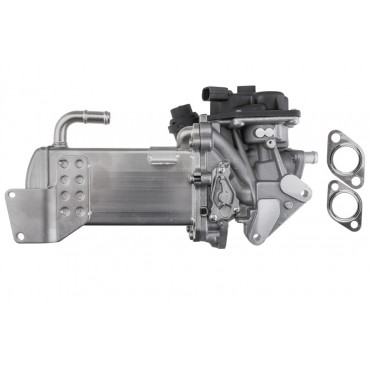 Vanne EGR avec Refroidisseur Pour Audi A4 A5 A6 Q5 Seat Exeo 03L131512BG