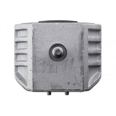 Support Moteur Pour Mercedes Classe A W169 B W245 1692401017 A1692401317