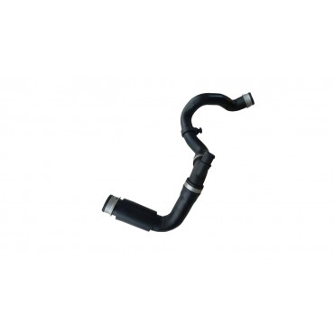 Tuyau de Radiateur Pour Mercedes Classe C W203 CL203 S203 A2035015582 2035015582