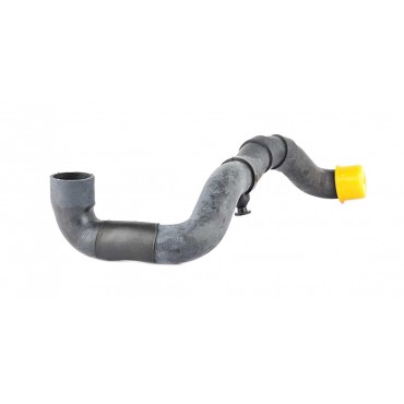 Tuyau de Radiateur Pour Mercedes Classe C W203 CL203 S203 2035012882 A2035012882