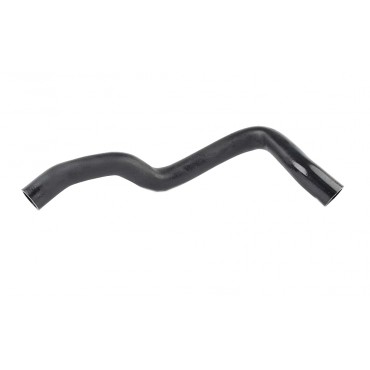 Tuyau de Radiateur Pour Ford Transit 2.2 TDCi 2006-2014 222463 30720162