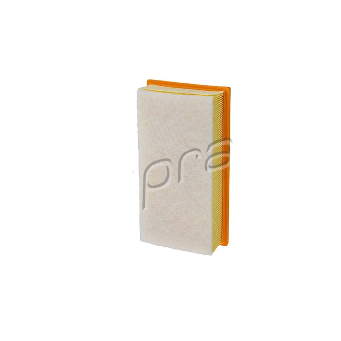 Filtre à Air Pour Citroën C4 Peugeot 3008 I 307 308 I 5008 Rcz 1444RP