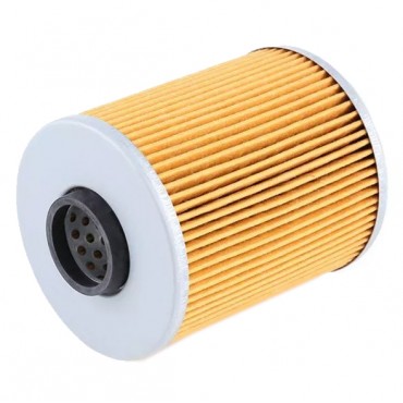 Filtre à Huile Pour Bmw Série 3 E36 E46 5 E34 Z3 E36 Z4 E86 11421130389