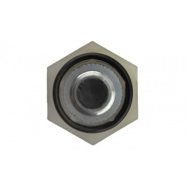 Capteur de Pression Huile Moteur Pour Bmw Série 1 F20 2 F23 3 F30 12617595724