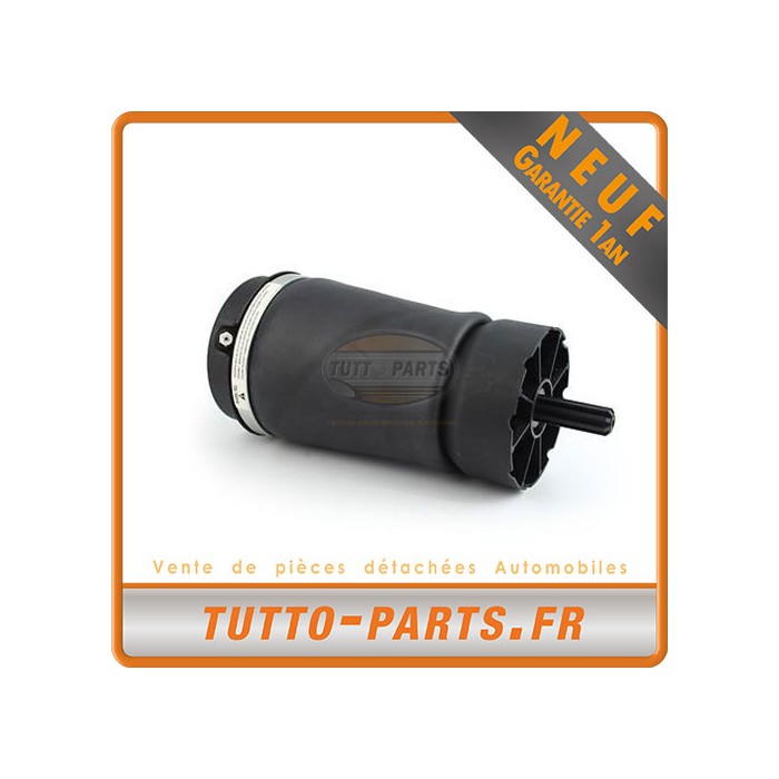 Suspension Pneumatique Arrière Range Rover