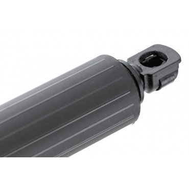 Vérin de Coffre Droit Pour Ford Usa Mustang Mach-E LJ8BR402A54AC 1885786