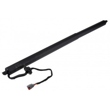 Vérin de Coffre Gauche Pour Ford Usa Mustang Mach-E LJ8BR402A55AC CV44S402A55AC