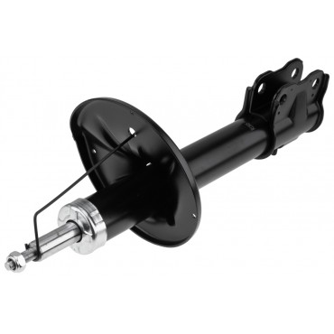 Amortisseur Avant Pour Mitsubishi Outlander I 2002-2007 4060A045 MN101644