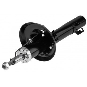 Amortisseur Avant Pour Seat Leon Toledo II Skoda Octavia I Vw Golf IV 1J0413031N