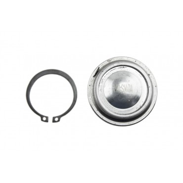 Rotule de Suspension Avant inférieur Pour Nissan Murano I II Qashqai 40160CA010