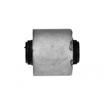 Silent Bloc de Bras de Suspension inférieur Pour Daihatsu Terios 4872787404000