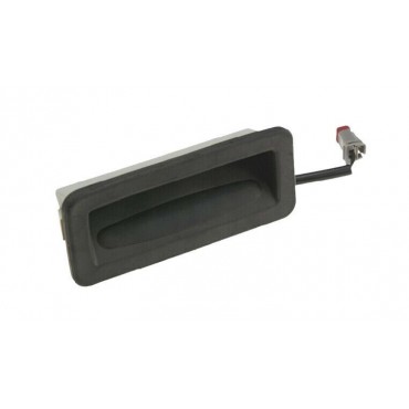 Poignée de coffre de Hayon...