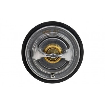 Thermostat d'Eau Pour Audi A6 A8 77121113D 077121113D 22121113 022121113