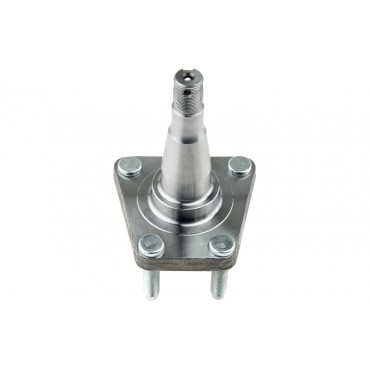 Moyeu de Roue Arrière Pour Daewoo Lanos 1997-1999 96115666