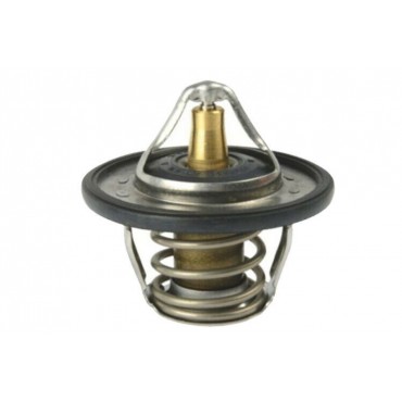 Thermostat d'eau C4 C5 C8...