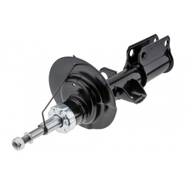 Amortisseur Avant Gauche Pour Bmw X5 E53 31316764601 1096271 31316764605